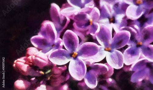 Lilac flowers painting