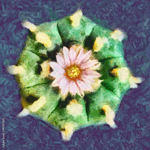 Obraz na plátně lophophora williamsii peyote plant with flower oil painting seamless