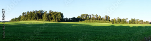 Wiese und Wald Panorama