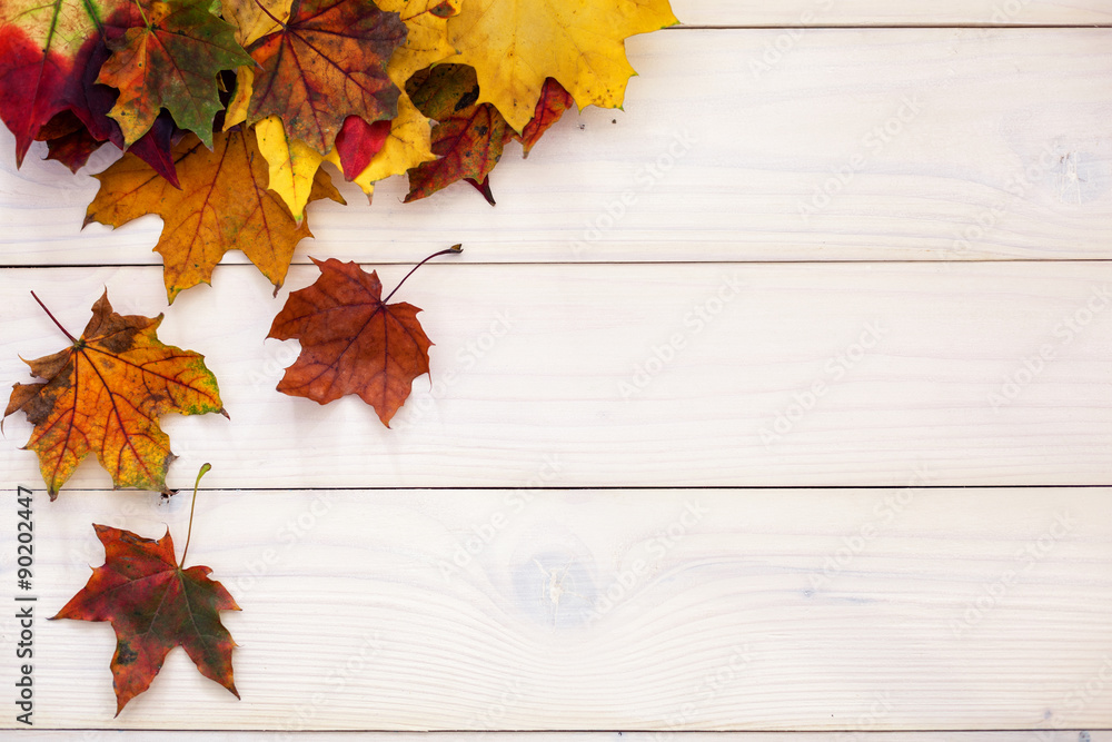 Autumn background with colorful leaves on wooden background - obrazy, fototapety, plakaty 