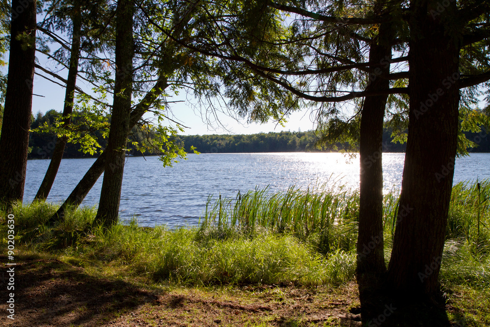 Naklejka premium Wilderness lake framed by silhouetted trees.