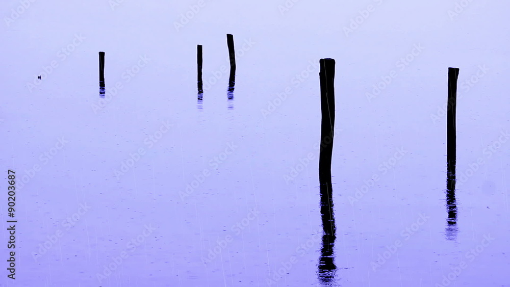 Hd clip, a view of some poles in a lake, in a rainy day
Hd clip, a view of some poles in a lake, in a rainy day