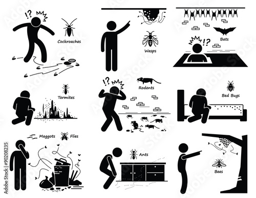 Infestation of Pests Cockroaches Wasp Bats Termites Rats Bugs Maggots Ants Bees