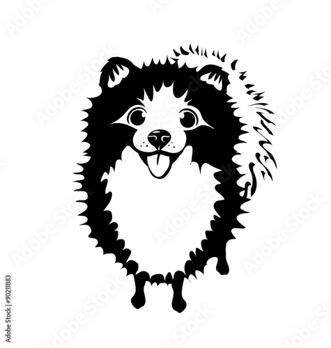 Fototapeta Naklejka Na Ścianę i Meble -  cartoon illustration of a pomeranian dog