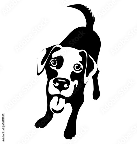 cartoon illustration of a labrador retriever