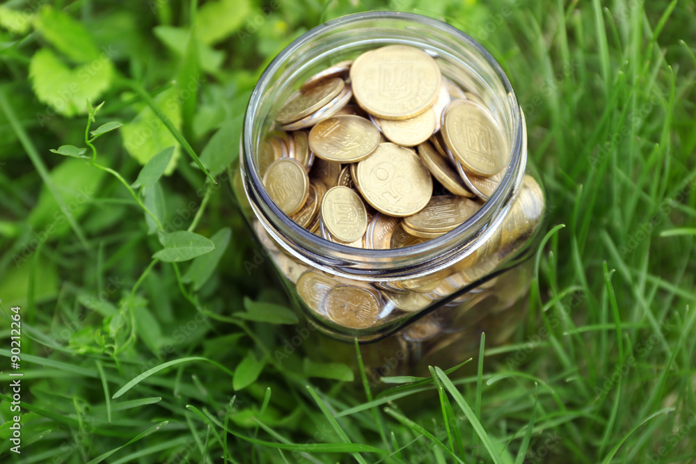 Coins in money jar on green grass outdoors Coins in money jar on green grass outdoors