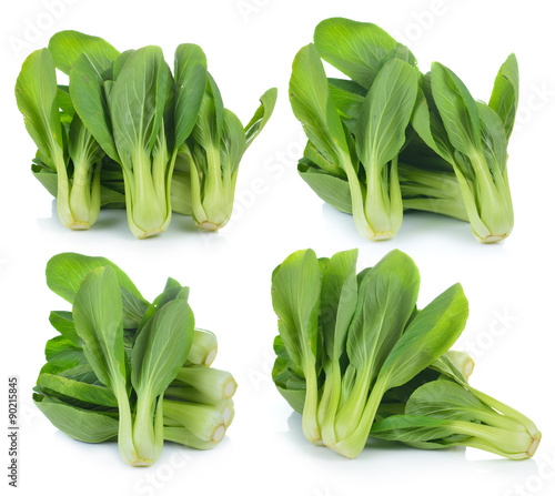 Bok choy vegetable on white background