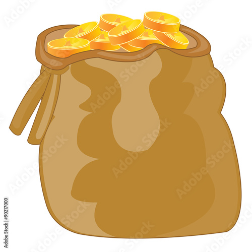 Bag with coin