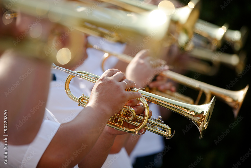 Obraz premium Pipes in the hands of musicians