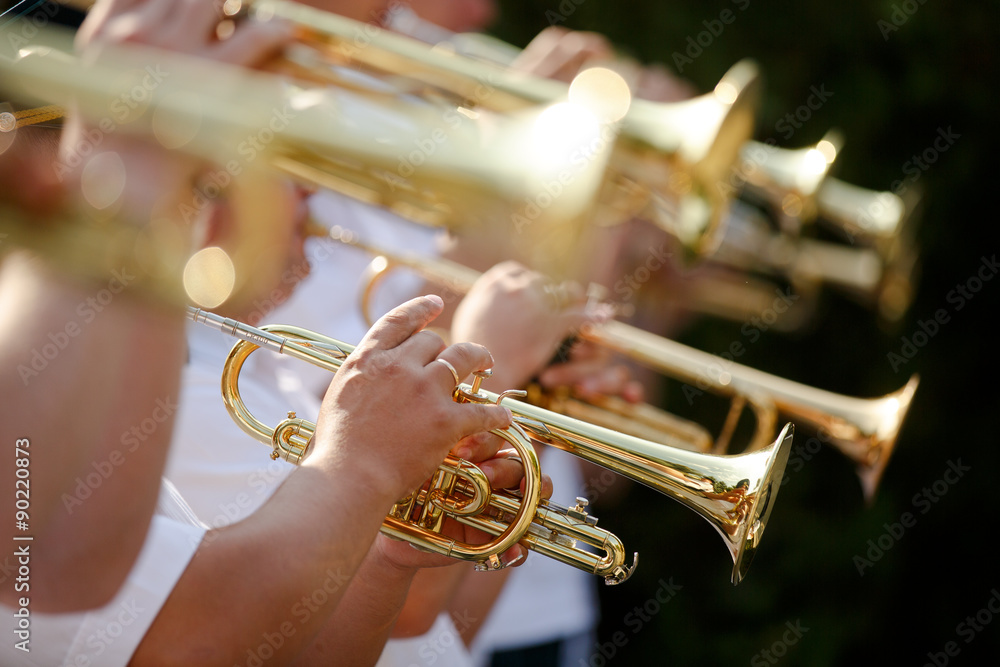 Obraz premium Pipes in the hands of musicians