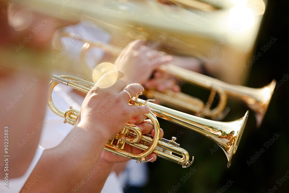 Obraz premium Pipes in the hands of musicians