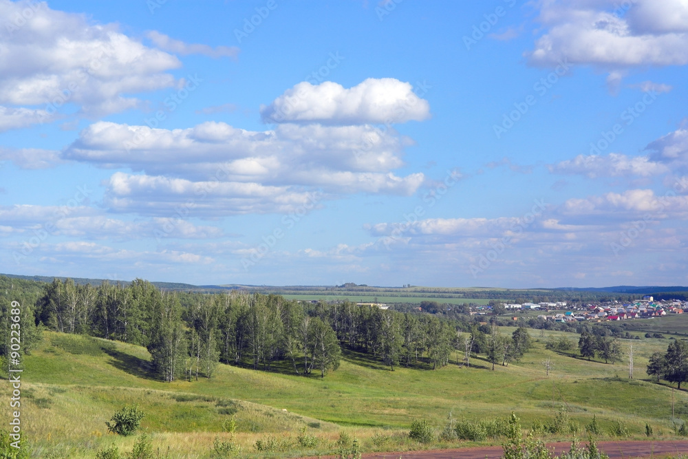 Beautiful summer landscape