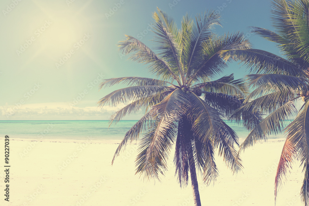 Vintage coconut palm tree on beach blue sky with sunlight of morning in summer, instagram filter