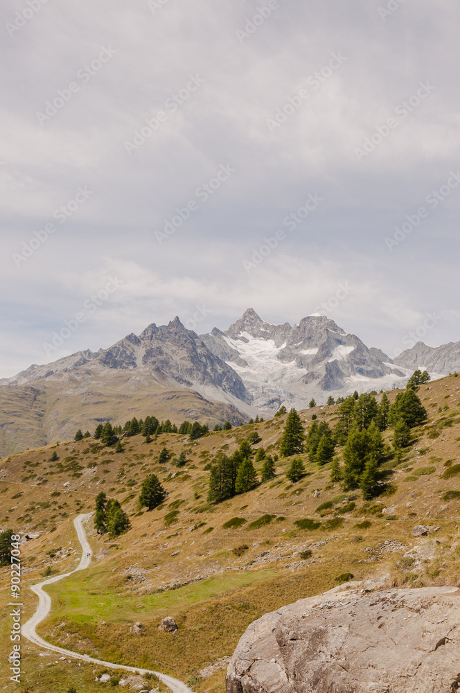 Zermatt, Dorf, Bergdorf, Alpen, Walliser Alpen, Ober Gabelhorn, Wellenkuppe, Schweizer Berge, Findeln, Weiler, Sunnegga, Wanderweg, Wanderferien, Wallis, Sommer, Schweiz