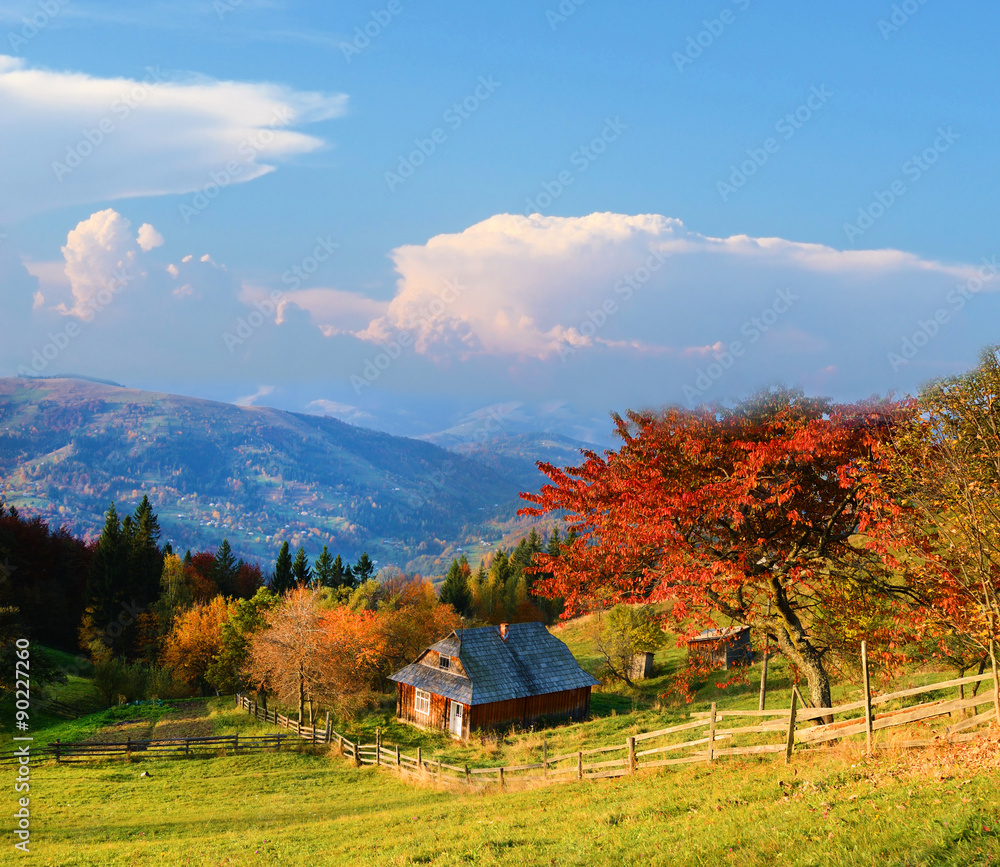 Picturesque autumn rural landscape with a tree with red leaves,