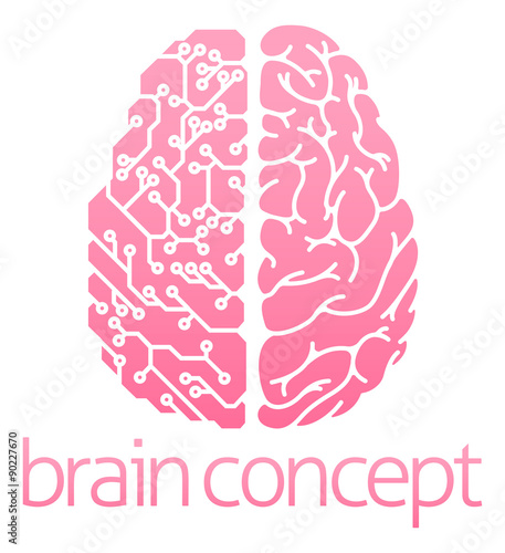 Human brain electrical circuit