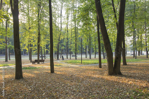 Sunlit evening park, end of summer with yellow foliage, lady with a stroller © taniasv