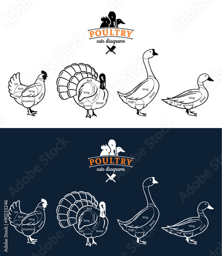 Poultry Cuts Diagrams