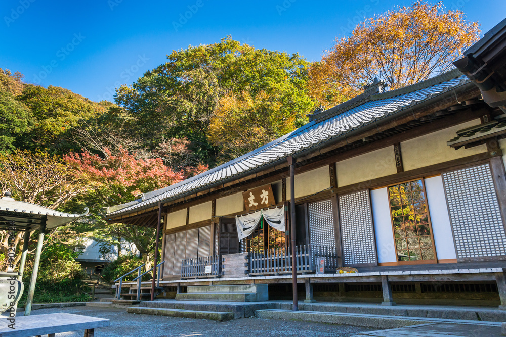 秋の鎌倉　明月院　方丈