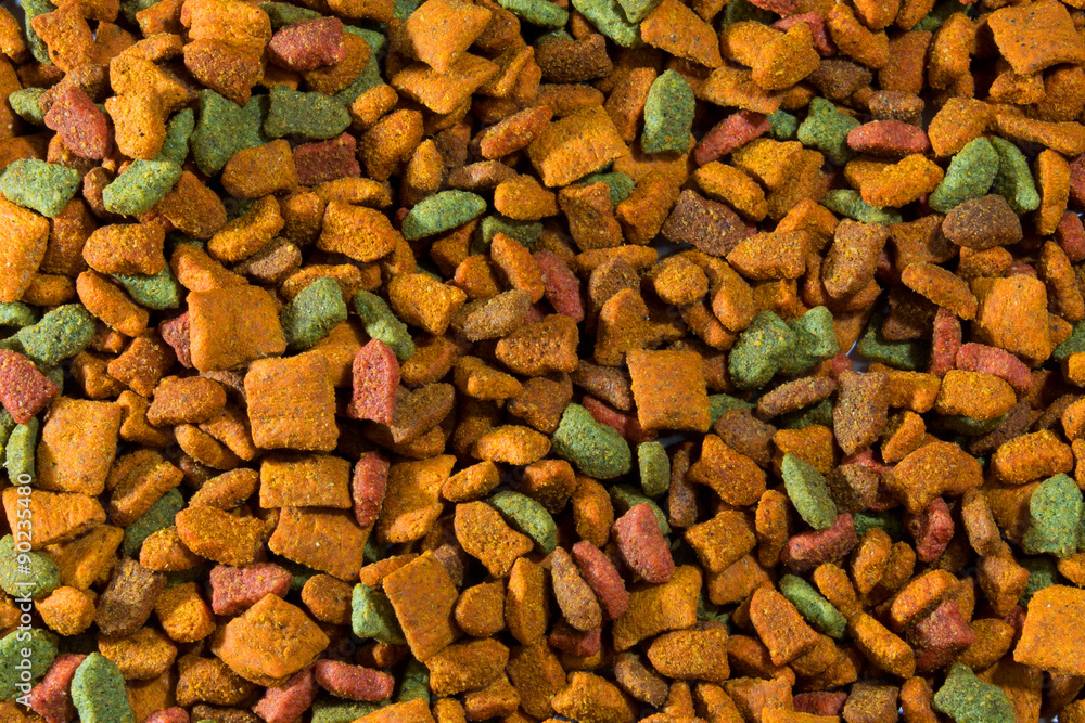 cat food cat food