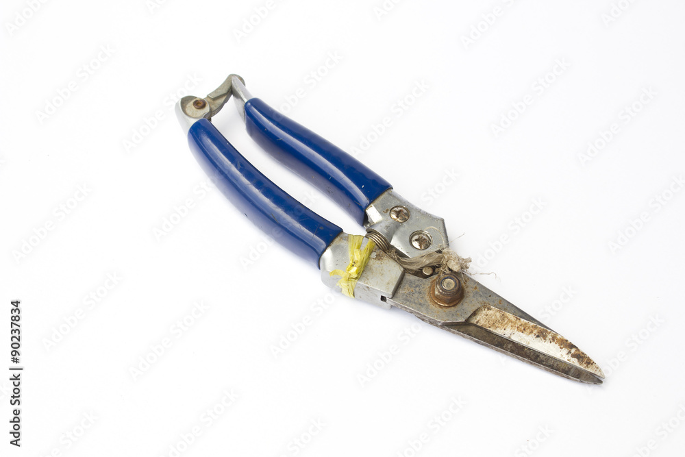 Old pruning shears isolated on white background Old pruning shears isolated on white background