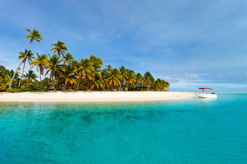 Acrylglasbilder Tropischer Strand Exotischer Pazifikstrand auf tropischer Insel  © TravelPhotoBloggers