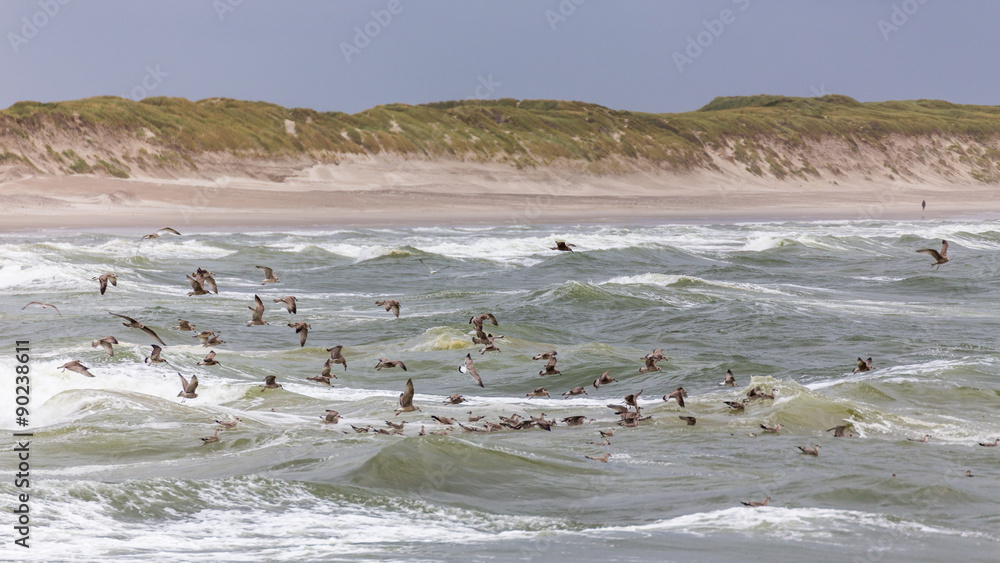 Fototapeta premium Möven in stürmischer See