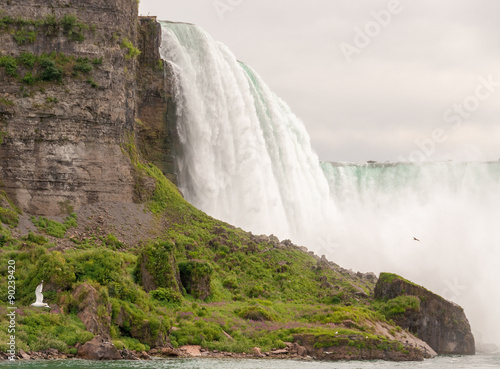 Niagara Falls. Wonderful scenario of water and vegetation