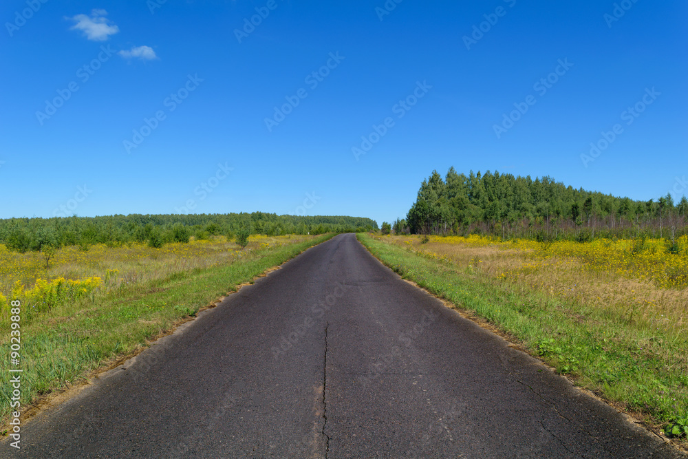 Rural asphalt road that goes into the woods and passing through a meadow