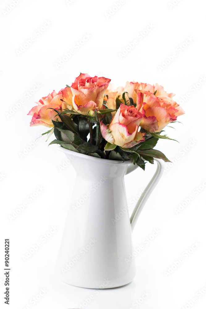 orange roses in white jug isolated orange roses in white jug isolated