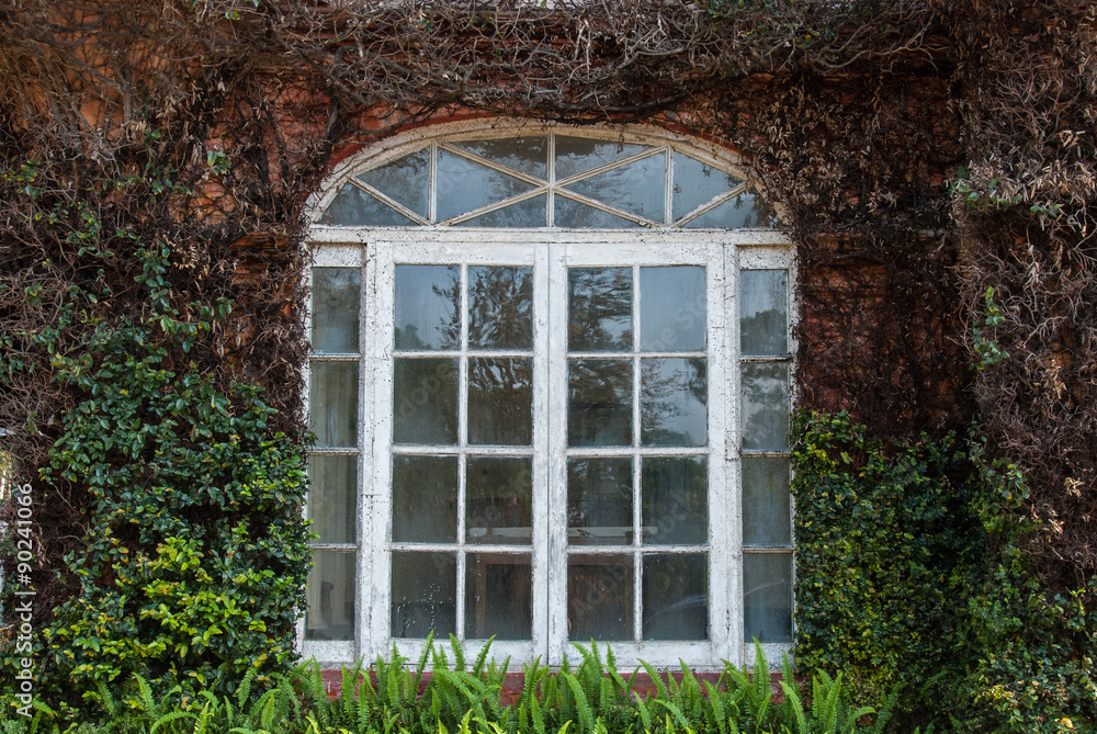 Window Window