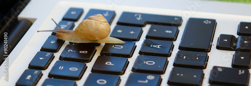 snail on a keyboard