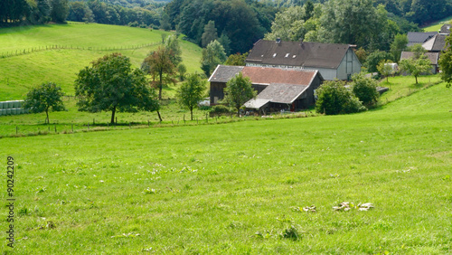 old houses on a big meadow