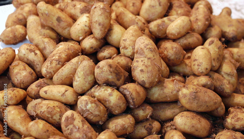 Markthalle Kassel : Stand mit frischen Kartoffeln Markthalle Kassel : Stand mit frischen Kartoffeln