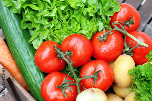 Frisches Gemüse: Tomaten, Gurken, Salat, Kartoffeln