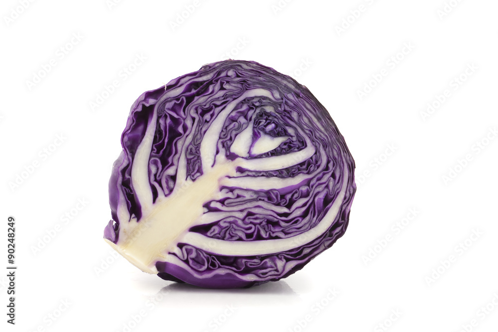 red cabbage red cabbage