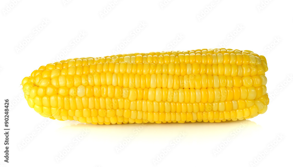 ears of Sweet corn isolated on white background ears of Sweet corn isolated on white background
