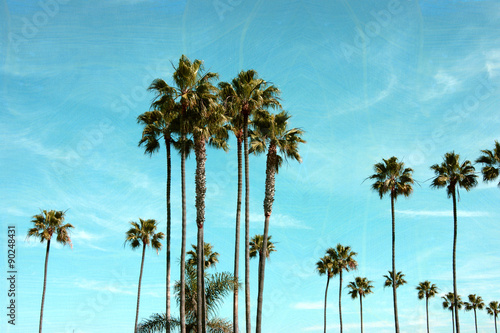 aged and worn vintage photo of palm trees