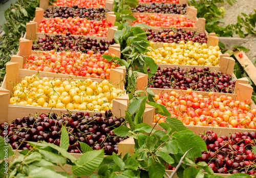 Close up on ripe red and yellow cherries in crates at the market. Display of many types of cherries.