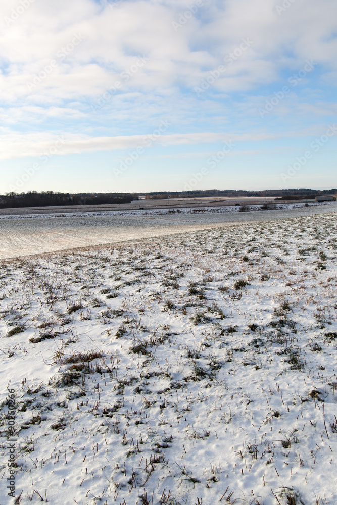 Snowy field.