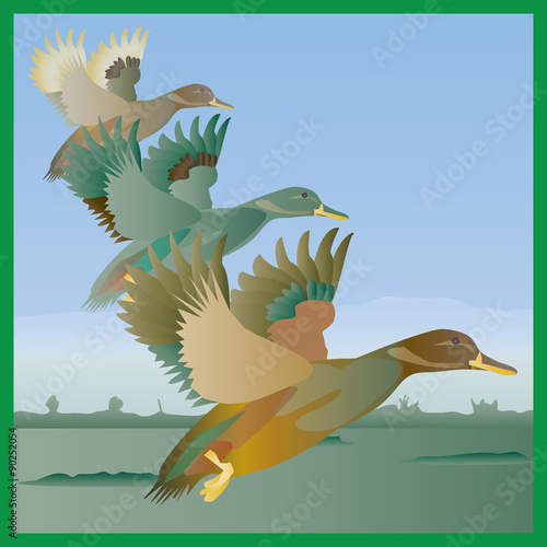 Flying ducks over a wetland marsh in a retro style.