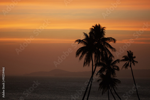 Fototapeta Naklejka Na Ścianę i Meble -  Palm against the sunset over the sea
