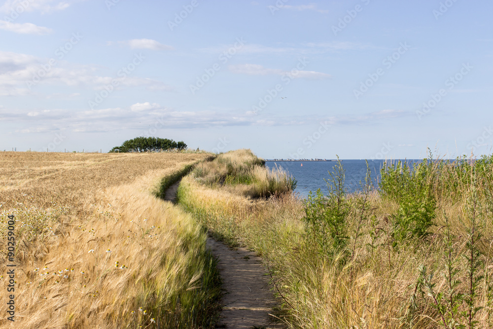 Baltic Coast / Baltic landscape with hiking, barley field and the sea