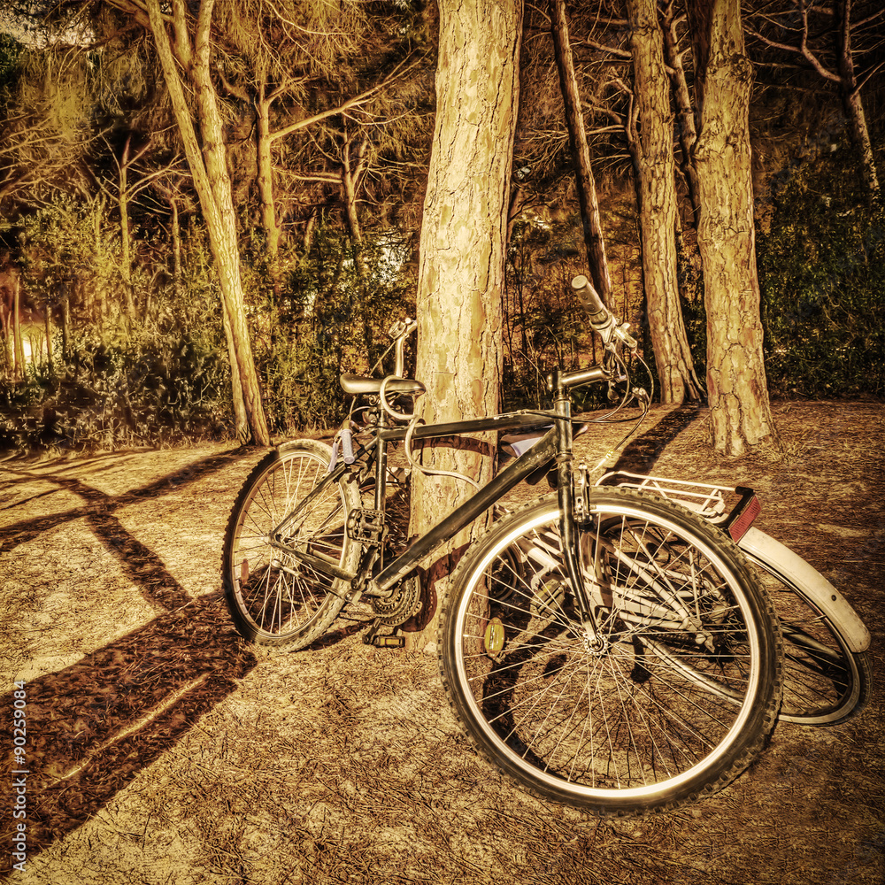 bikes in the forest at night in sepia tone