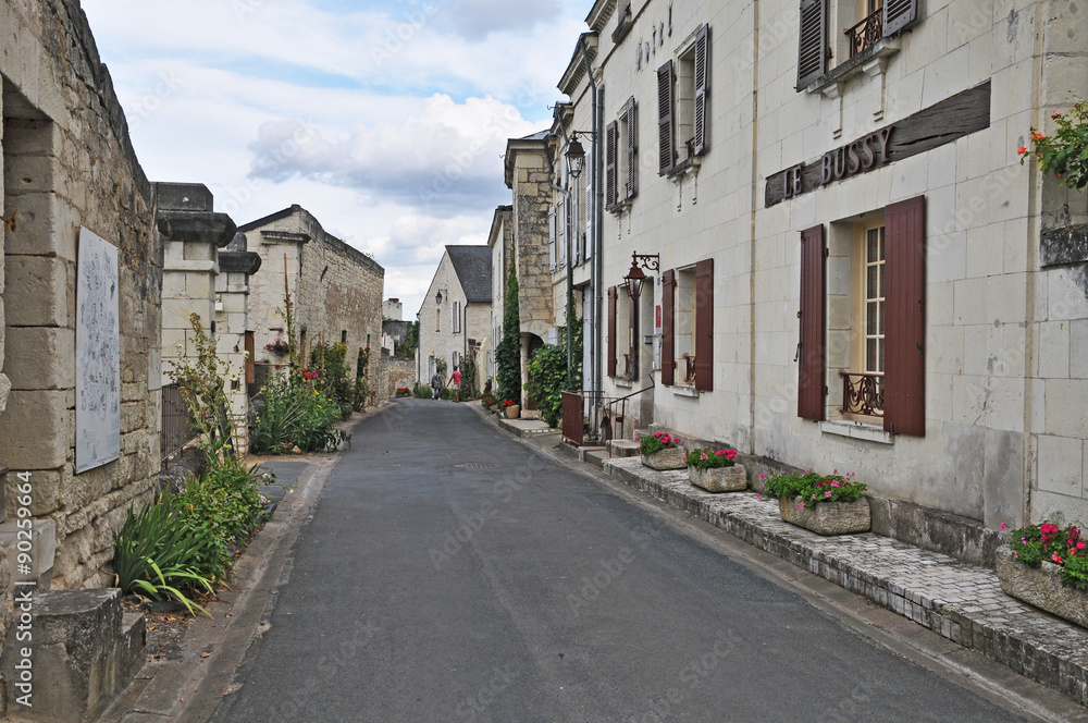 Il Villaggio di Montsoreau - Loira, Francia