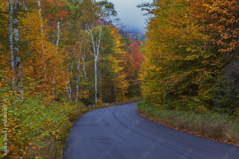 Colorful foliage lines a curvy country road in New England near Evans Notch along the MAine, New Hampshire border