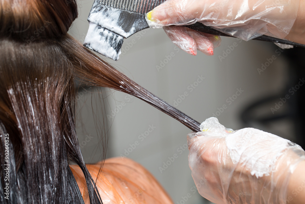hair coloring in a beauty salon - obrazy, fototapety, plakaty 