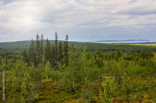 Lake View Pyaozero. North Karelia. Russia