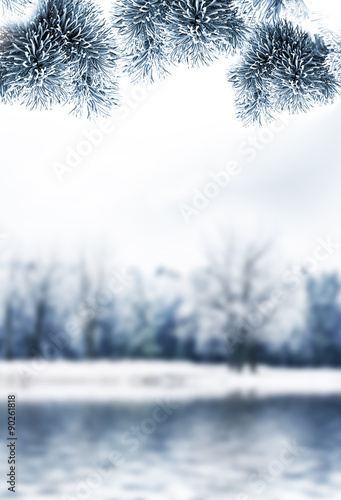 Winter Forest. Winter landscape. © alenalihacheva
