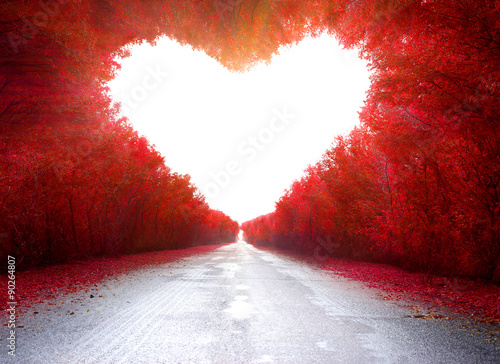 road to love photo